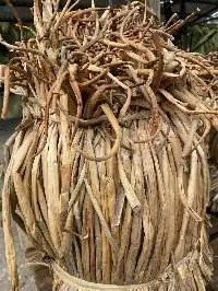 Raw Water Hyacinth