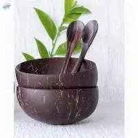 Best Selling 2022 Coconut Shell Bowl
