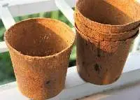 Coconut Coir Pot