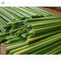 Grass Drinking Straw