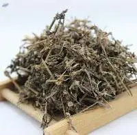 Black Grass Jelly Leaf