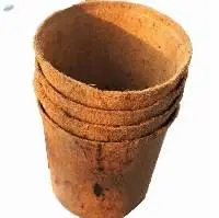 Coconut Coir Pot