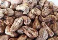 Roasted Cashew Nut