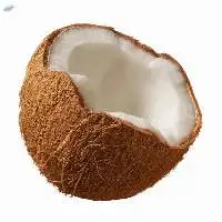 Fresh Mature Coconut