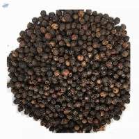 Black Pepper