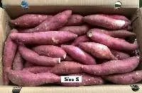 Sweet Potato Beniazuma Factory