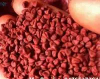 Dried Annatto Seeds - Cooking Spices