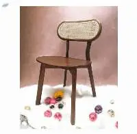 Classic Rattan Webbing Dining Chair