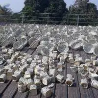 Bamboo Basket