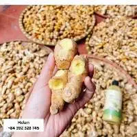 Dried ginger