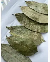 Dried Soursop Leaves