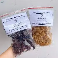 Dried Sea Moss/ Eucheuma Cottonii