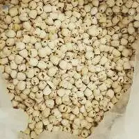 Lotus Seed