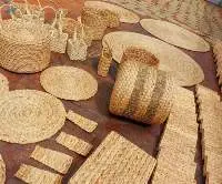 Seat Pad