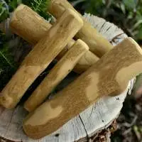 Wooden Chew Dog