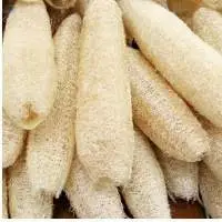 Loofah Luffa