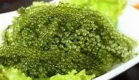 Sea Grape
