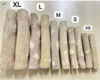 Coffee Wood Dog Chew
