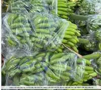 G9 Fresh Banana