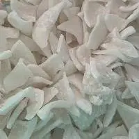 Dried Coconut