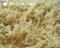 Sea Moss / Irish Moss /  Red Seaweed