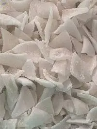 Delicious Soft Dried Coconut Meat