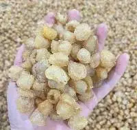 High-Quality Natural Vietnamese Dried Longan