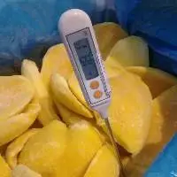 Frozen Mango