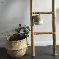 Sturdy, Durable Bamboo Ladder With Best Deal