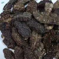 Dried Noni Fruit