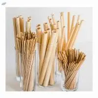Bamboo Straw