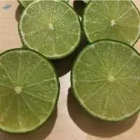Fresh Green Lime