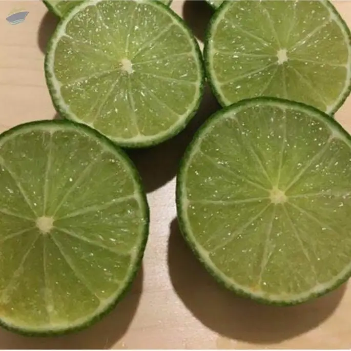 Fresh Green Lime