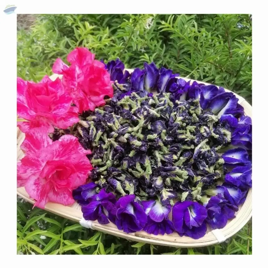 Butterfly Pea Flower