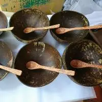Coconut Shell Bowl