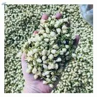Dried Jasmine Bubs
