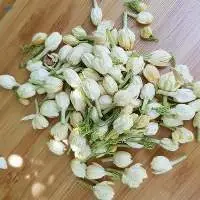 Dried Jasmine Flower