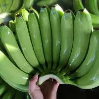 Fresh Banana