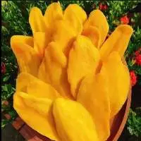 Dried Mango