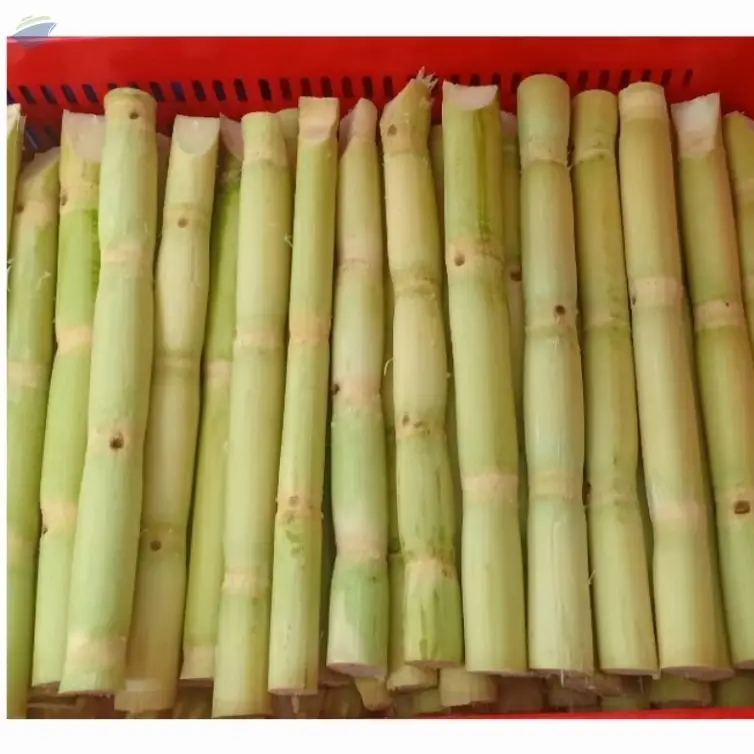 Frozen Sugarcane