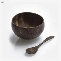 Coconut Shell Bowl
