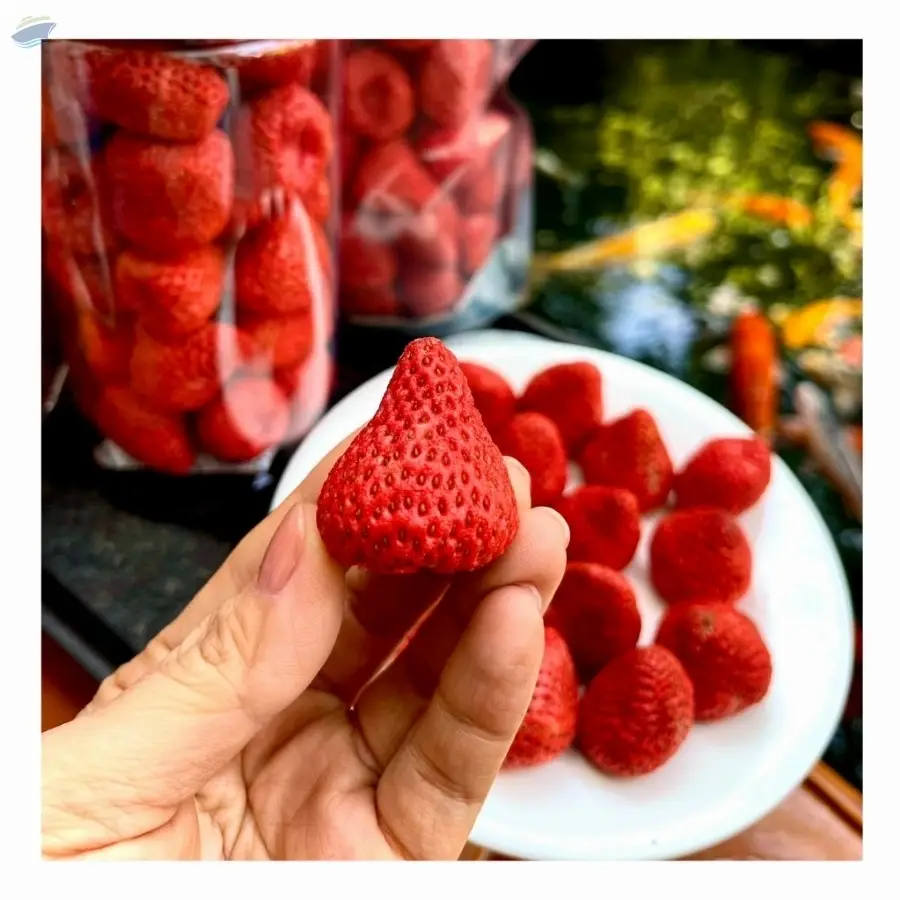 Dried Strawberries