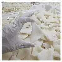 Dried Coconut Meat