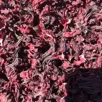 Dried Hibiscus Flower