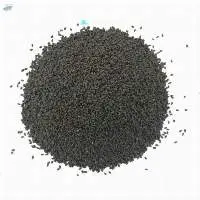 Basil Seed