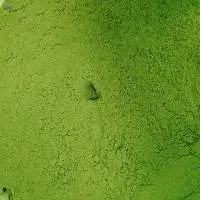 Moringa Powder