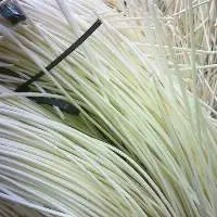 Rattan Peel