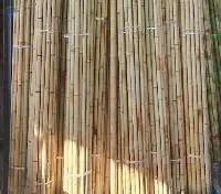 Bamboo Pole