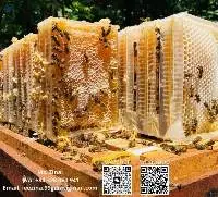 Honey Cake