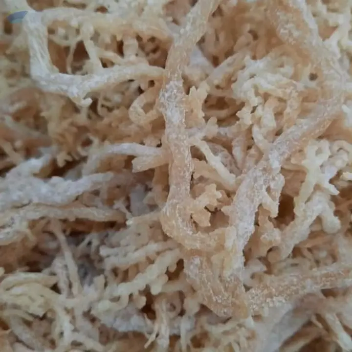 High-Quality Dried Salted/Unsalted Sea Moss